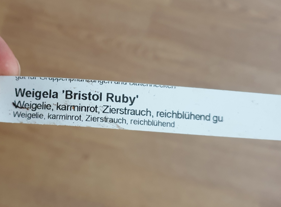 Weigelia Bristol Ruby Schild